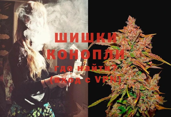 индика Переславль-Залесский