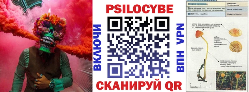 shop какой сайт  Полесск  Галлюциногенные грибы Psilocybine cubensis 